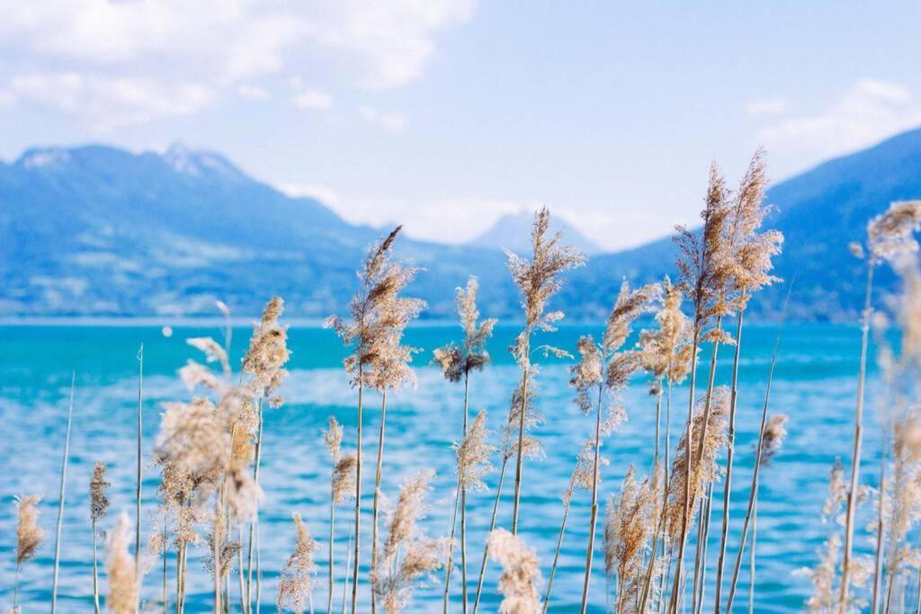 Le Continental Beau T2 Plein Centre + Parking Daire Annecy Dış mekan fotoğraf