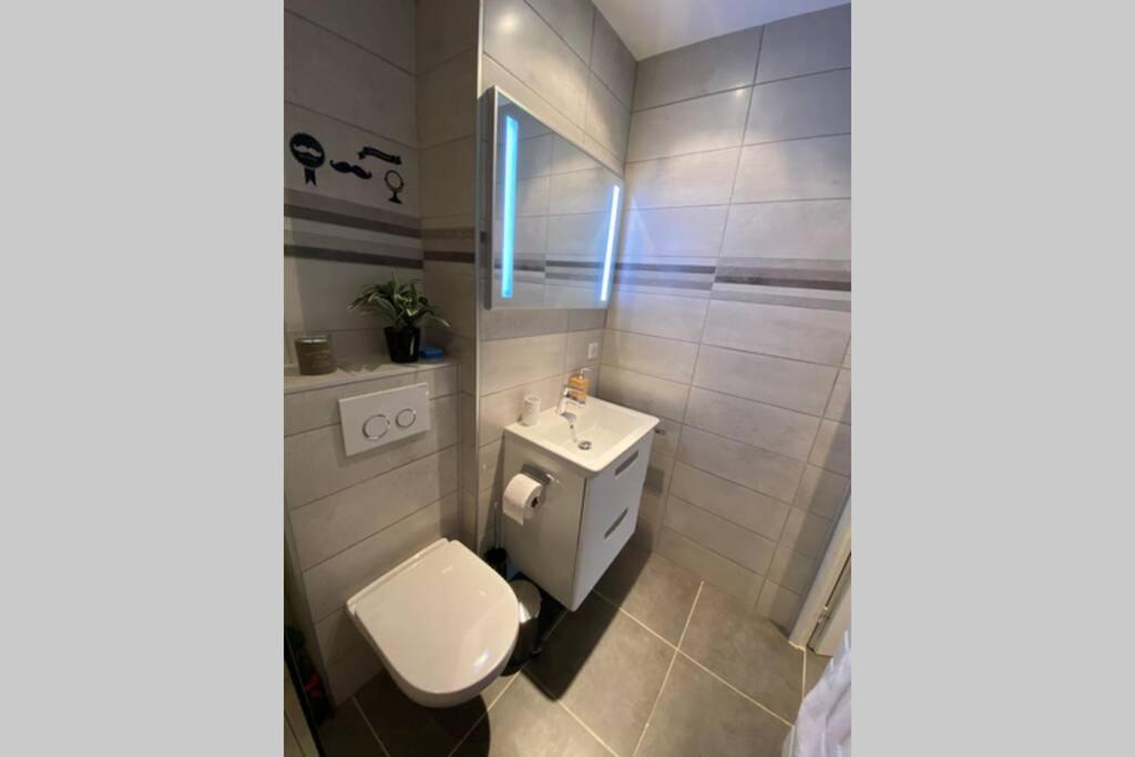Le Continental Beau T2 Plein Centre + Parking Daire Annecy Dış mekan fotoğraf