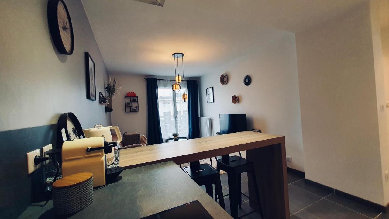 Le Continental Beau T2 Plein Centre + Parking Daire Annecy Dış mekan fotoğraf